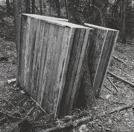 Haus Skulptur im Wald um Baum herum