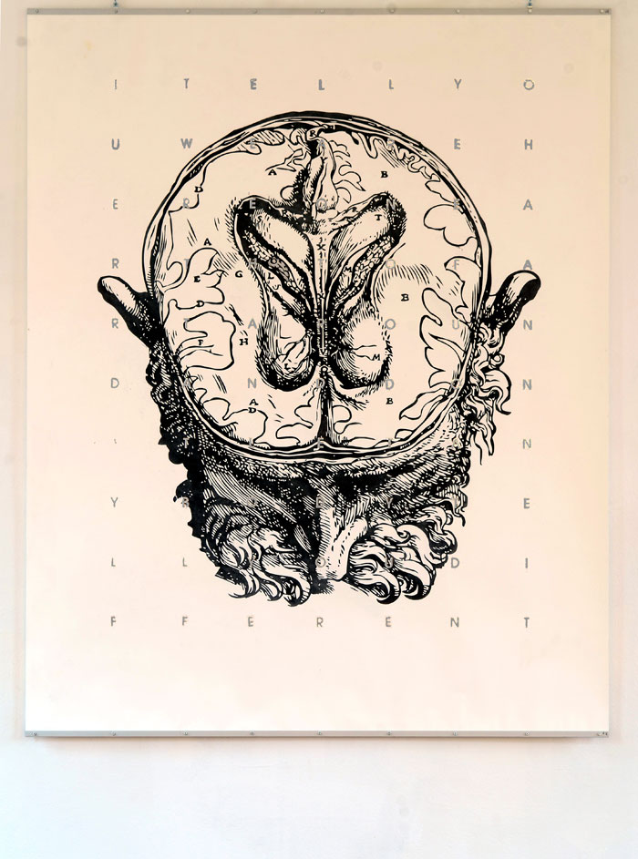 Schädelanatomie mit Blattsilberschrift